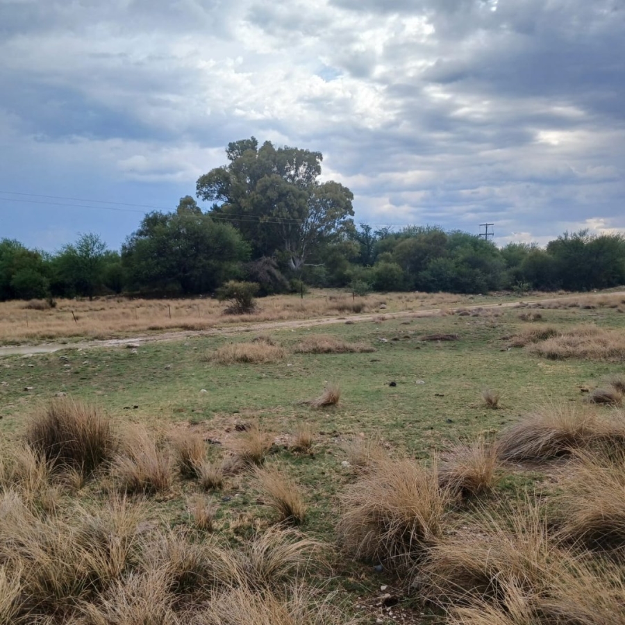  Bedroom Property for Sale in Barkly West Rural Northern Cape